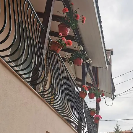 Vila Strat * Schitu